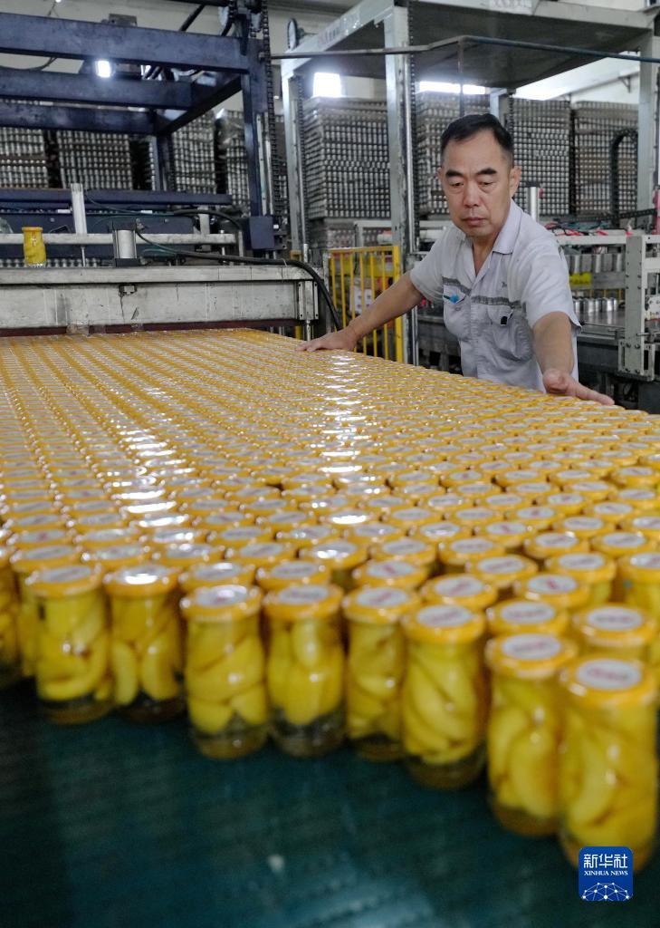 手机信息验证送38彩金